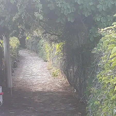 Casa Ruggeri Lägenhet Letojanni